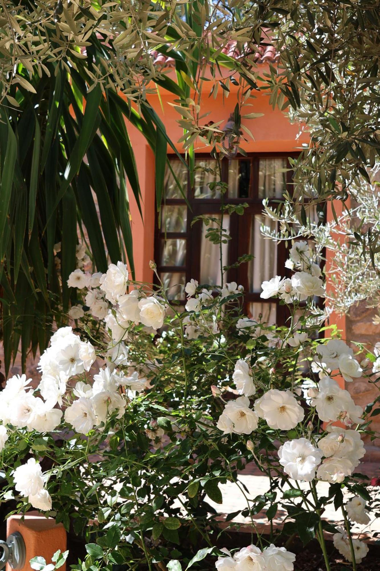 Domaine De La Roseraie Resort Ouirgane Luaran gambar